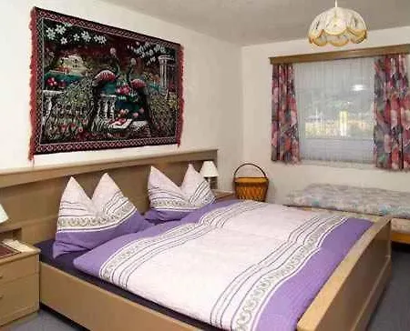 Salzburger Land 310 *