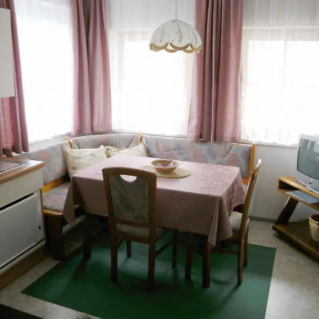 Salzburger Land 310 公寓