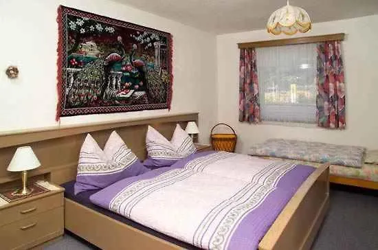 Salzburger Land 310 *