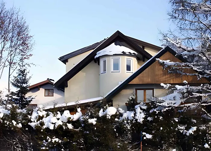 Salzburger Land 310 *